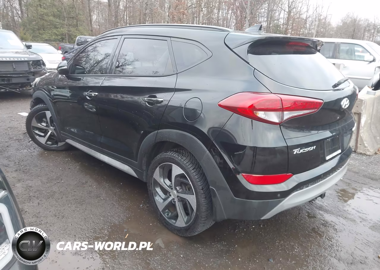 2017 Hyundai Tucson Limited VIN:KM8J33A24HU512566 - 3
