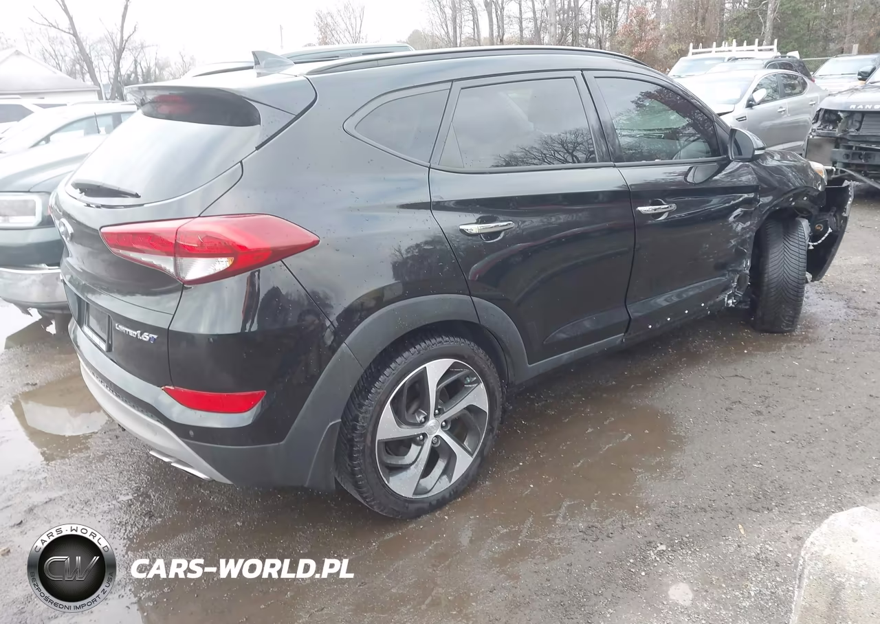 2017 Hyundai Tucson Limited VIN:KM8J33A24HU512566 - 4