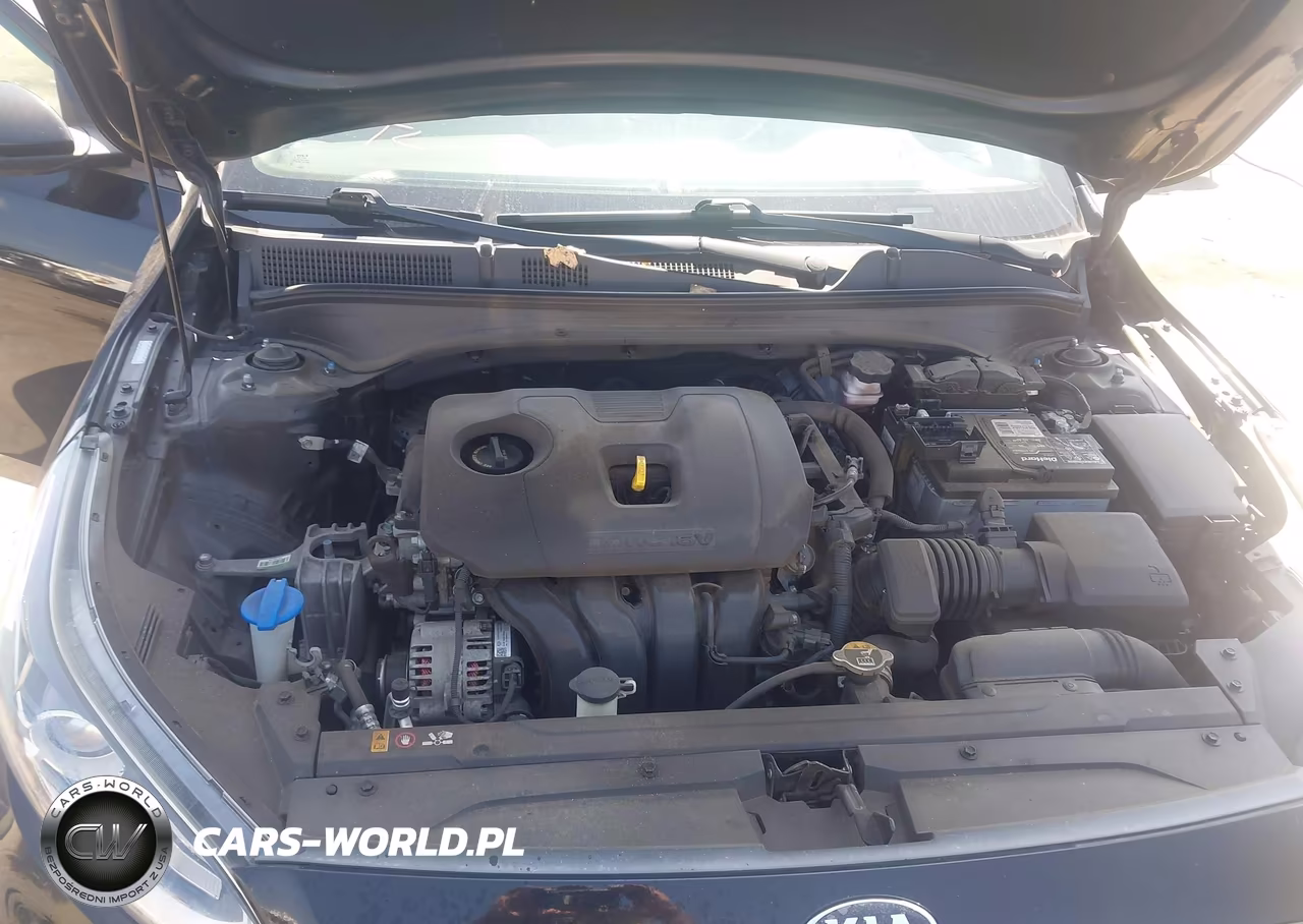 2021 Kia Forte Lxs VIN:3KPF24AD1ME408338 - 10