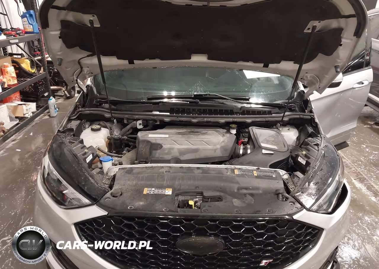 2019 Ford Edge St VIN:2FMPK4AP2KBC06185 - 10