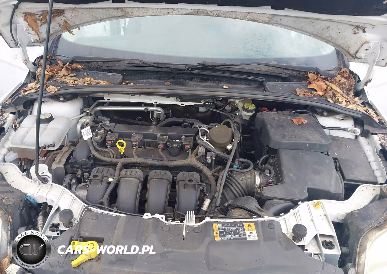 2014 Ford Focus Se VIN:1FADP3K28EL367494 - 10