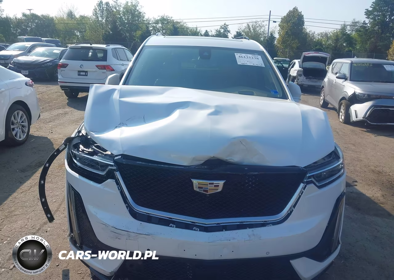 2020 Cadillac Xt6 Awd Sport VIN:1GYKPHRS3LZ103348 - 6