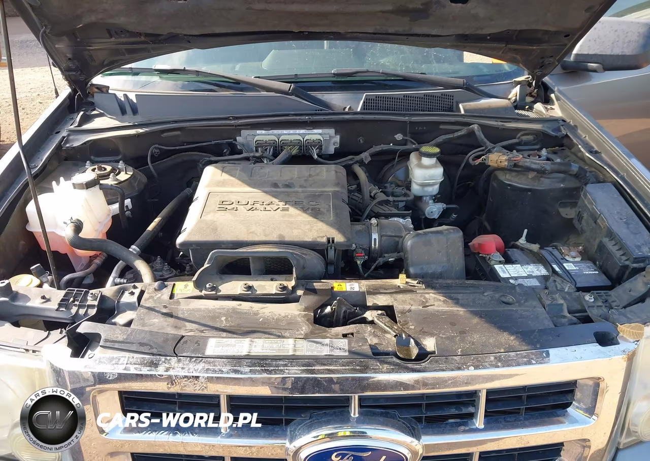 2011 Ford Escape Xlt VIN:1FMCU0DG4BKA38150 - 10
