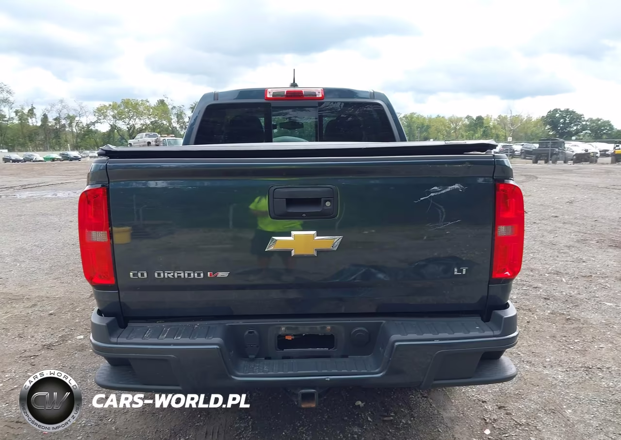 2019 Chevrolet Colorado Lt VIN:1GCGTCEN9K1118024 - 17