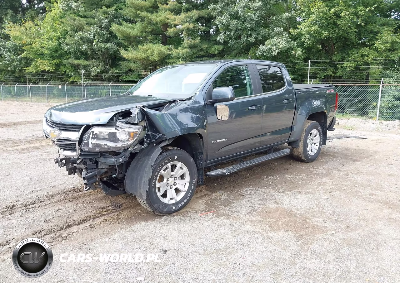 2019 Chevrolet Colorado Lt VIN:1GCGTCEN9K1118024 - 2