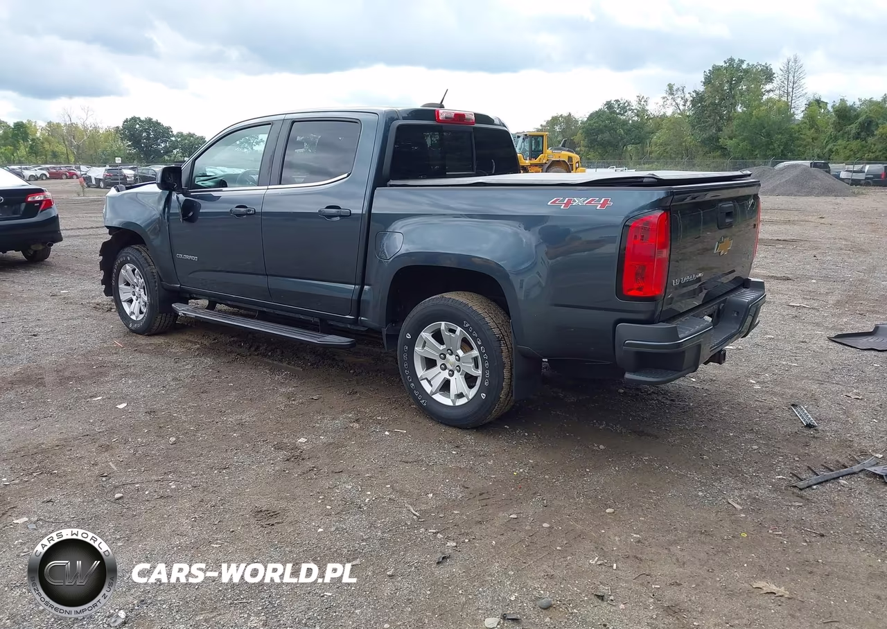 2019 Chevrolet Colorado Lt VIN:1GCGTCEN9K1118024 - 3