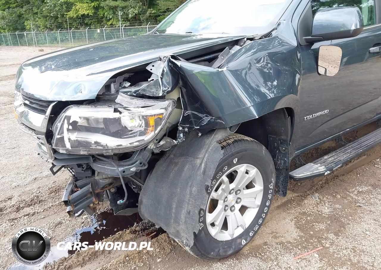 2019 Chevrolet Colorado Lt VIN:1GCGTCEN9K1118024 - 6