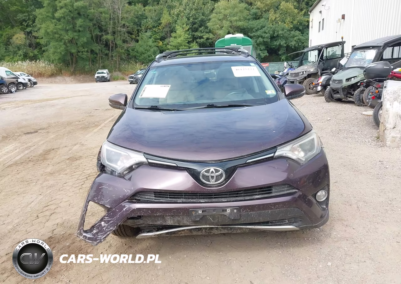 2016 Toyota Rav4 Xle VIN:2T3RFREV3GW481009 - 12