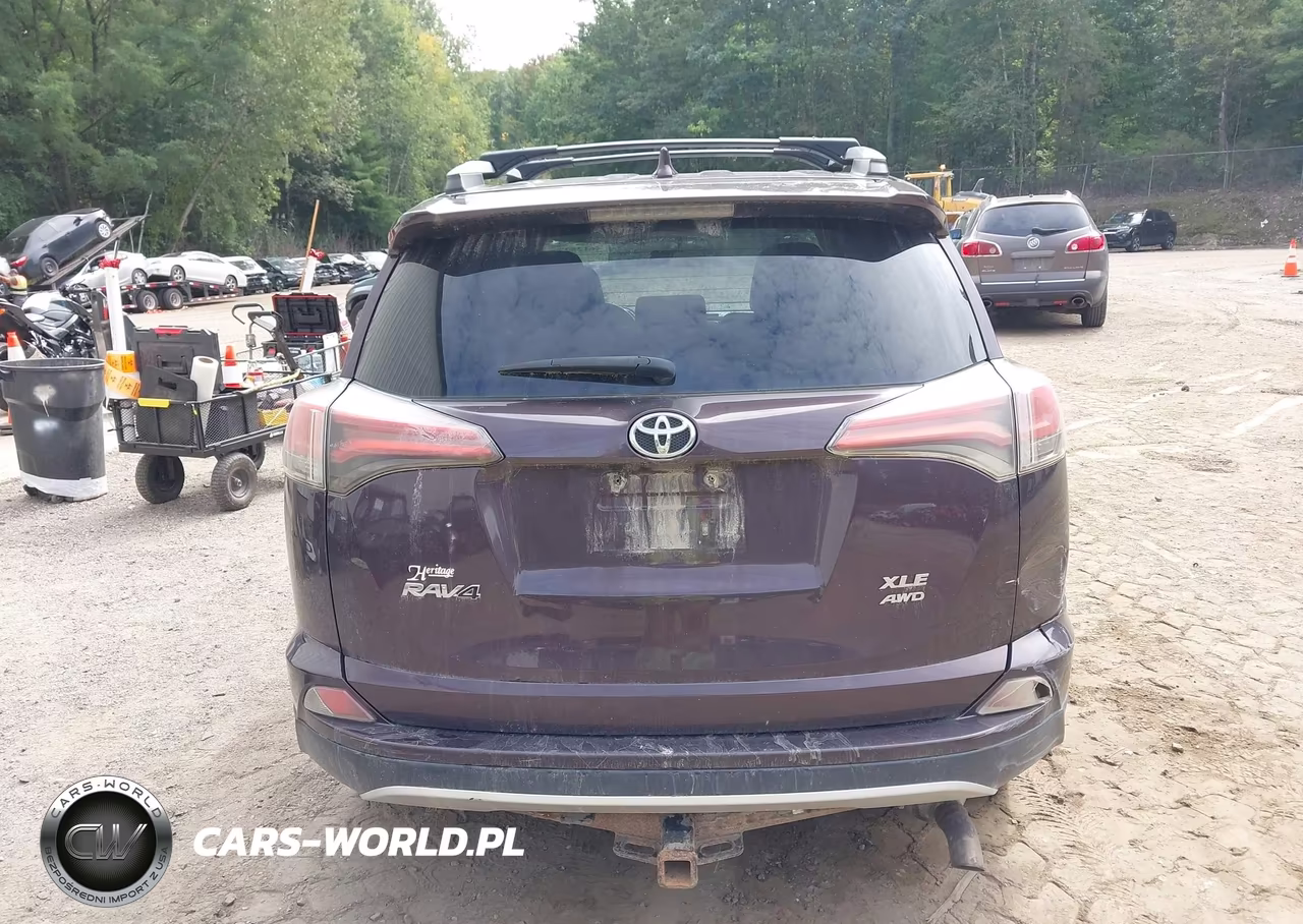 2016 Toyota Rav4 Xle VIN:2T3RFREV3GW481009 - 16