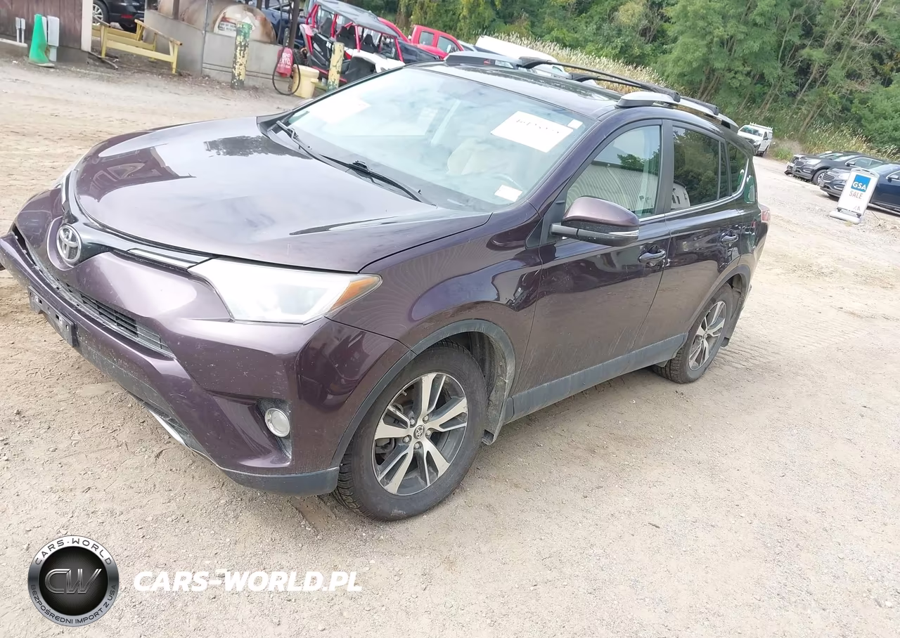 2016 Toyota Rav4 Xle VIN:2T3RFREV3GW481009 - 2