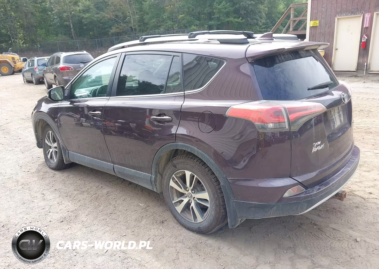 2016 Toyota Rav4 Xle VIN:2T3RFREV3GW481009 - 3