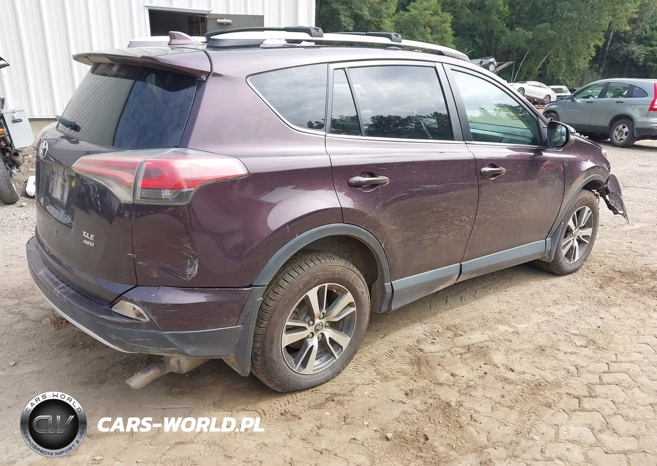 2016 Toyota Rav4 Xle VIN:2T3RFREV3GW481009 - 4