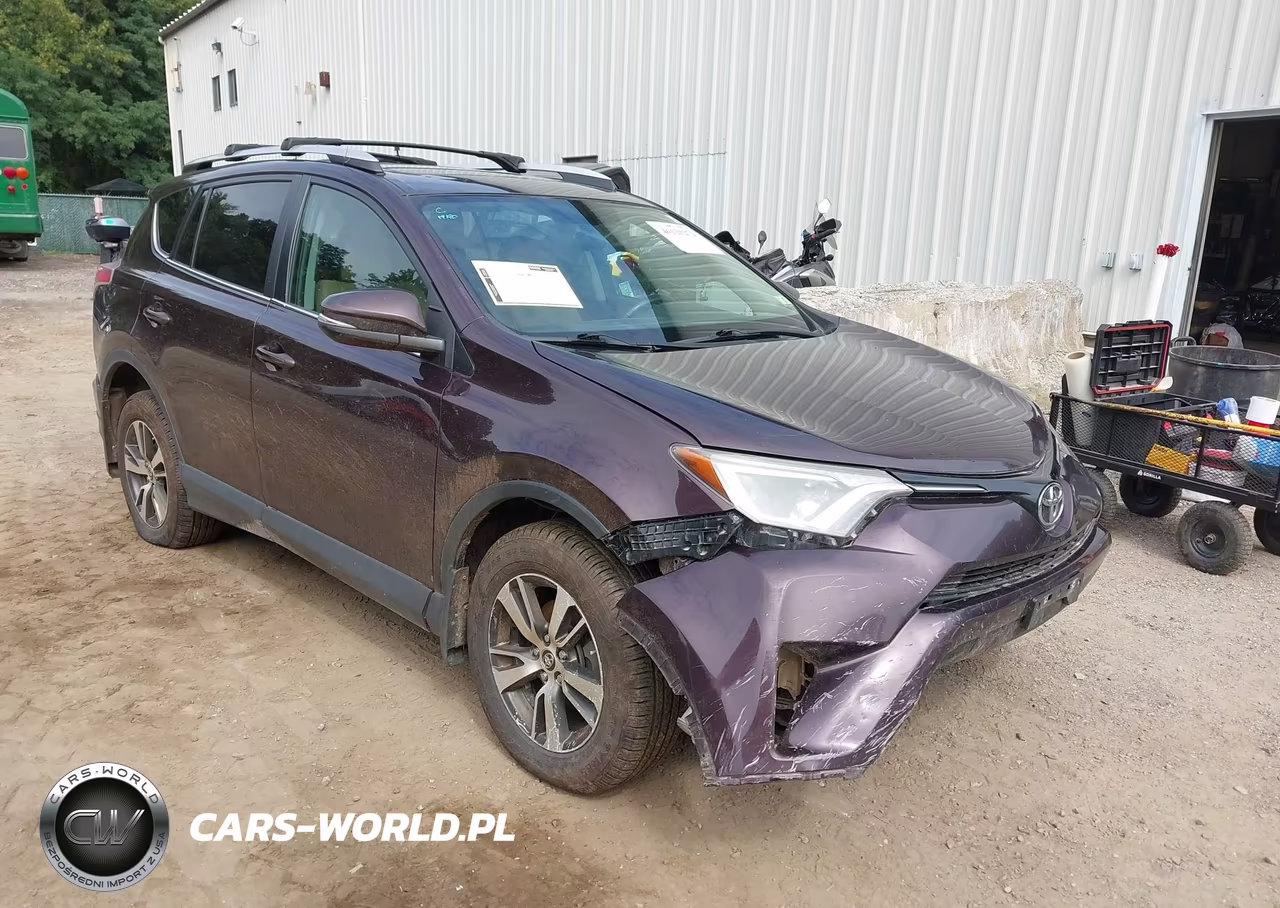 2016 Toyota Rav4 Xle VIN:2T3RFREV3GW481009 - 6