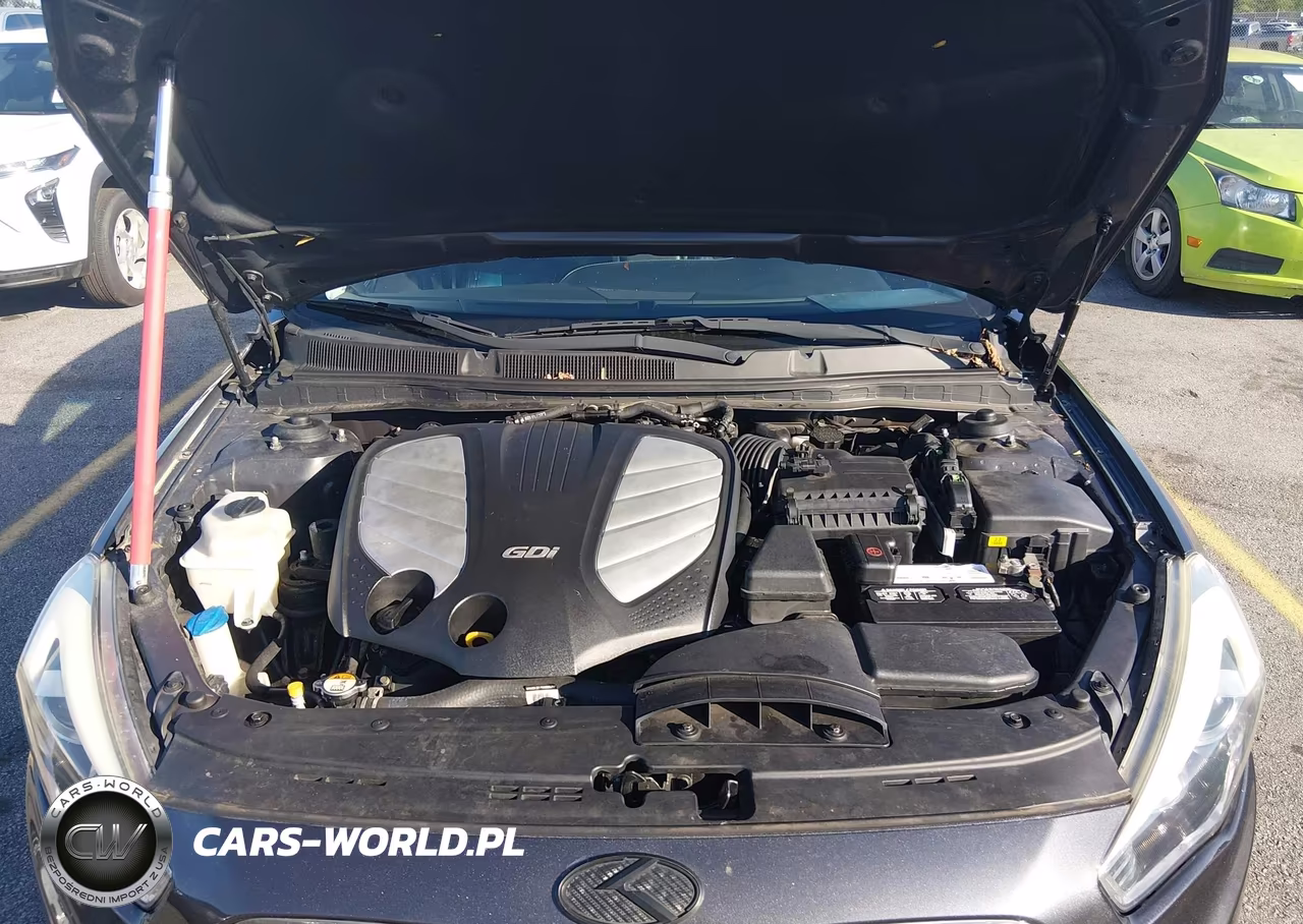 KIA CADENZA VIN:KNALN4D70F5194793 - 10