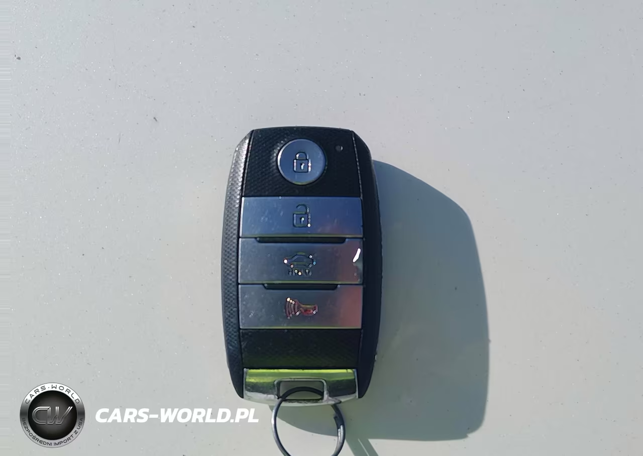 KIA CADENZA VIN:KNALN4D70F5194793 - 11