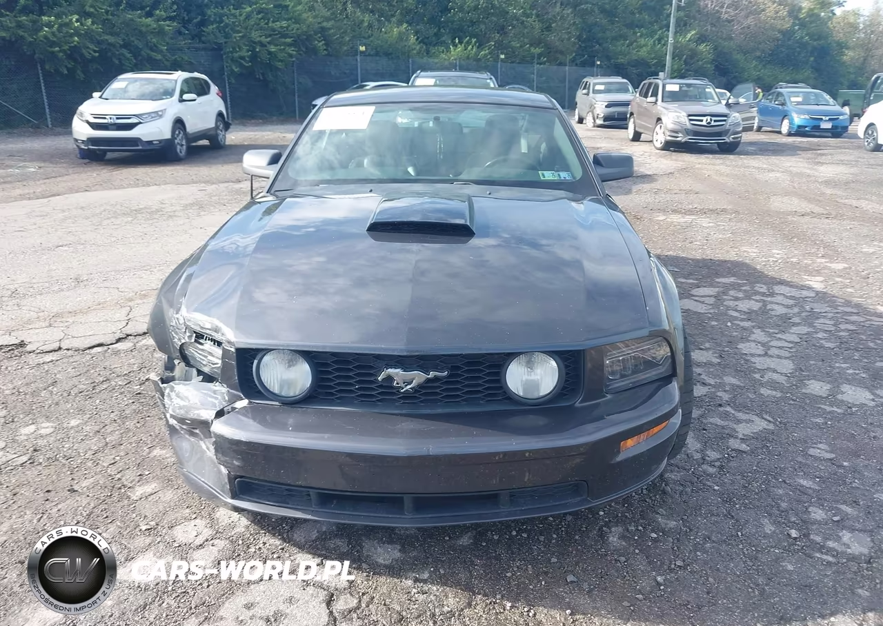 2008 Ford Mustang Gt Deluxe-Gt Premium VIN:1ZVHT82H785189401 - 12