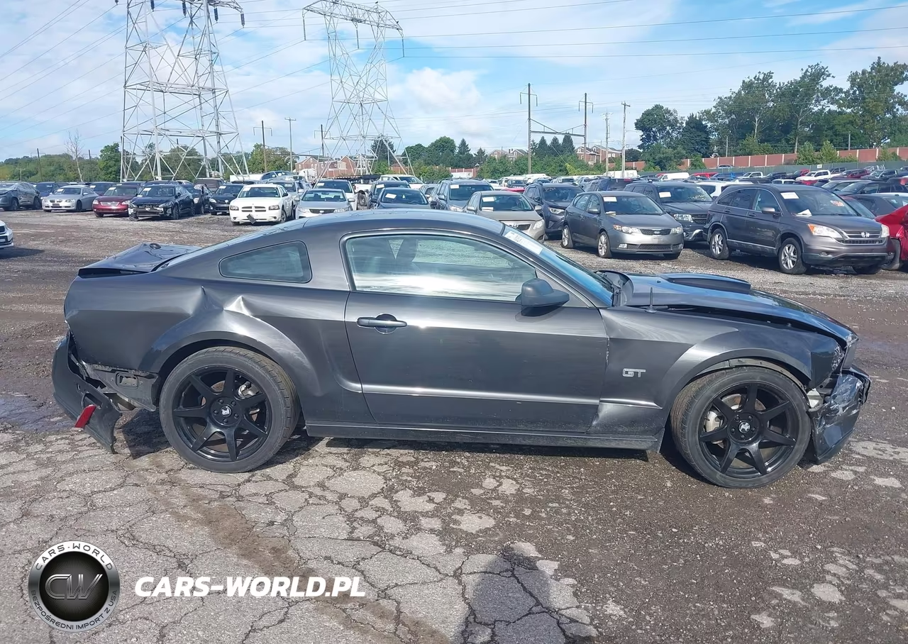 2008 Ford Mustang Gt Deluxe-Gt Premium VIN:1ZVHT82H785189401 - 13