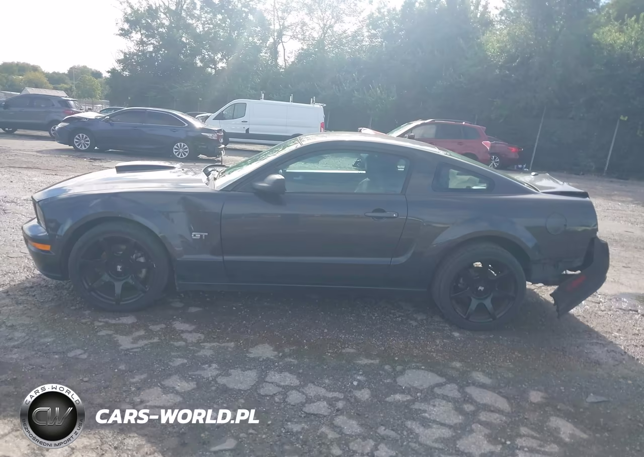 2008 Ford Mustang Gt Deluxe-Gt Premium VIN:1ZVHT82H785189401 - 14