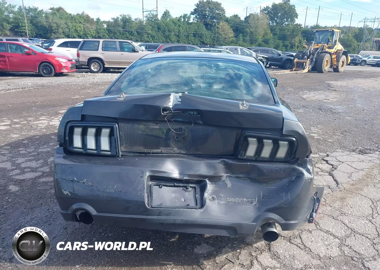 2008 Ford Mustang Gt Deluxe-Gt Premium VIN:1ZVHT82H785189401 - 16