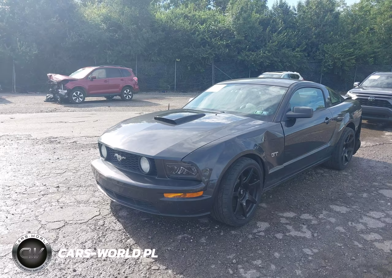 2008 Ford Mustang Gt Deluxe-Gt Premium VIN:1ZVHT82H785189401 - 2