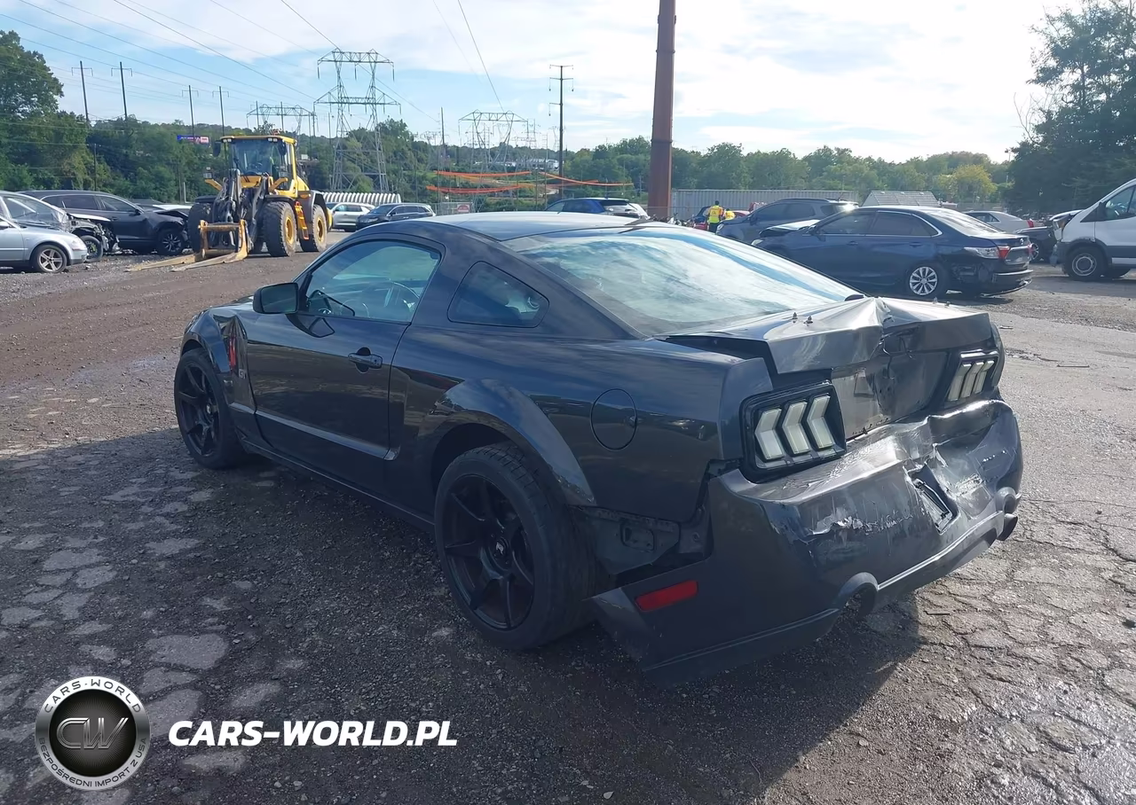 2008 Ford Mustang Gt Deluxe-Gt Premium VIN:1ZVHT82H785189401 - 3