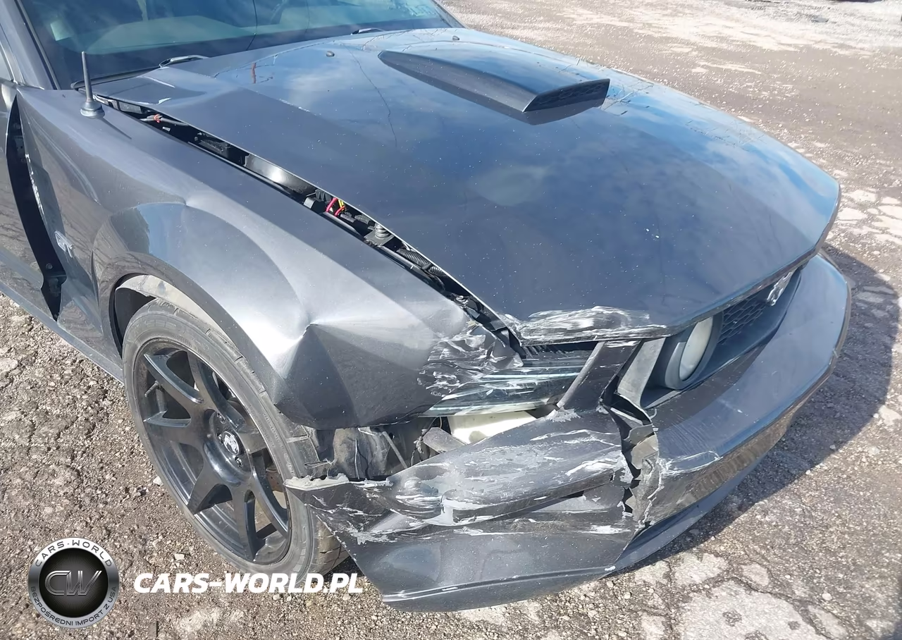 2008 Ford Mustang Gt Deluxe-Gt Premium VIN:1ZVHT82H785189401 - 6