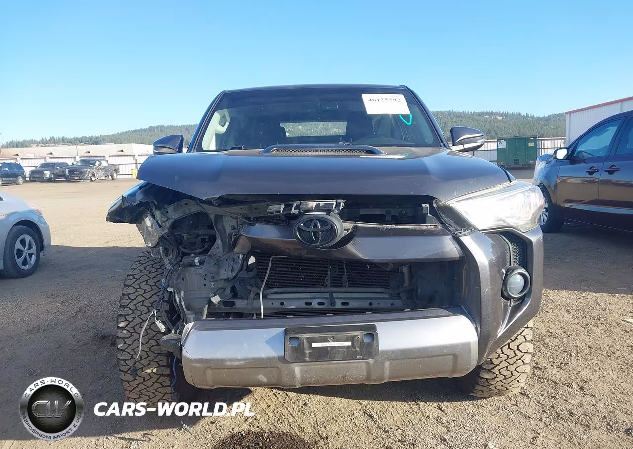 2018 Toyota 4Runner Trd Off Road Premium VIN:JTEBU5JR7J5555521 - 13