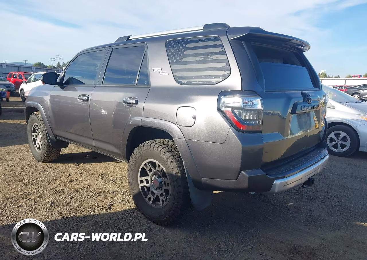 2018 Toyota 4Runner Trd Off Road Premium VIN:JTEBU5JR7J5555521 - 3