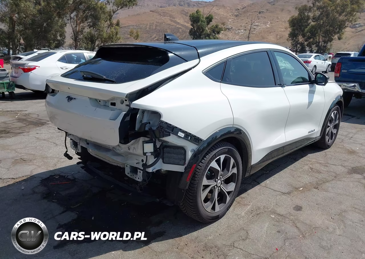 2022 Ford Mustang Mach-E Premium VIN:3FMTK3SUXNMA29921 - 4