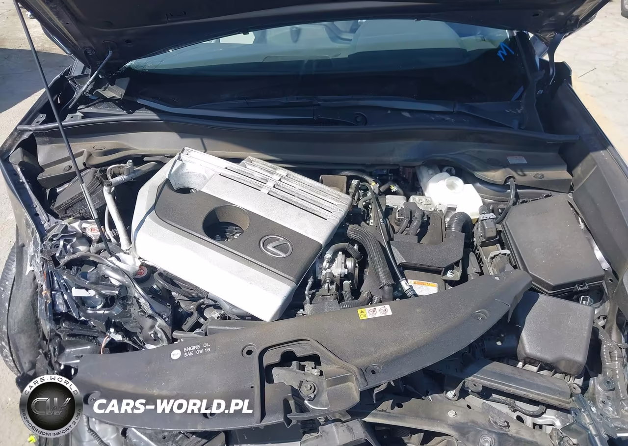 2023 Lexus Ux 250H VIN:JTHX6JBH5P2145747 - 10