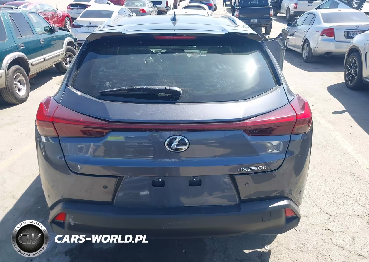 2023 Lexus Ux 250H VIN:JTHX6JBH5P2145747 - 17