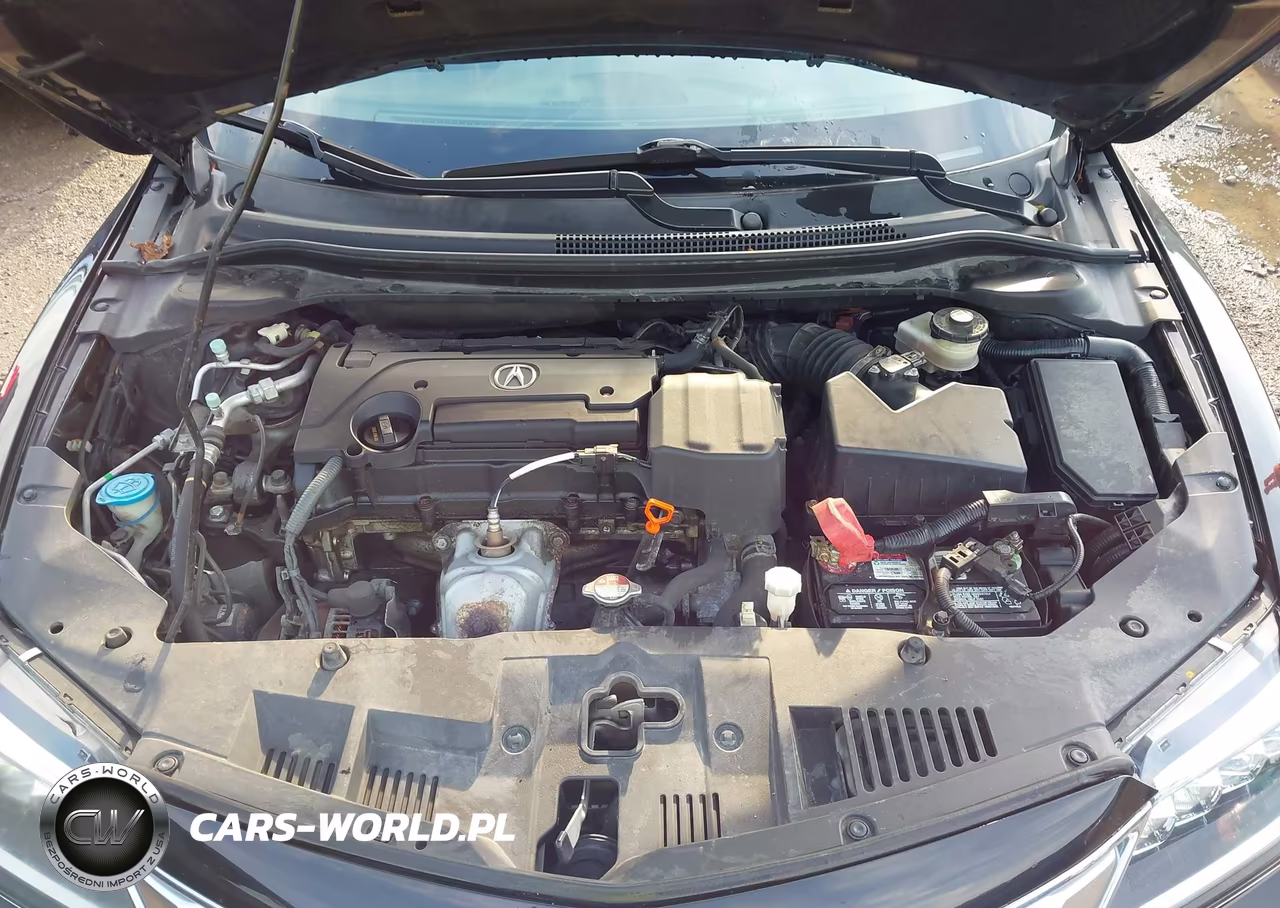 2016 Acura Ilx Premium Package-Technology Plus Package VIN:19UDE2F76GA008046 - 10