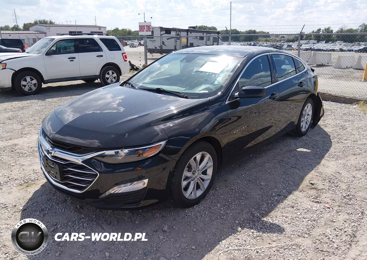 2023 Chevrolet Malibu Fwd 1Lt VIN:1G1ZD5ST8PF116966 - 2