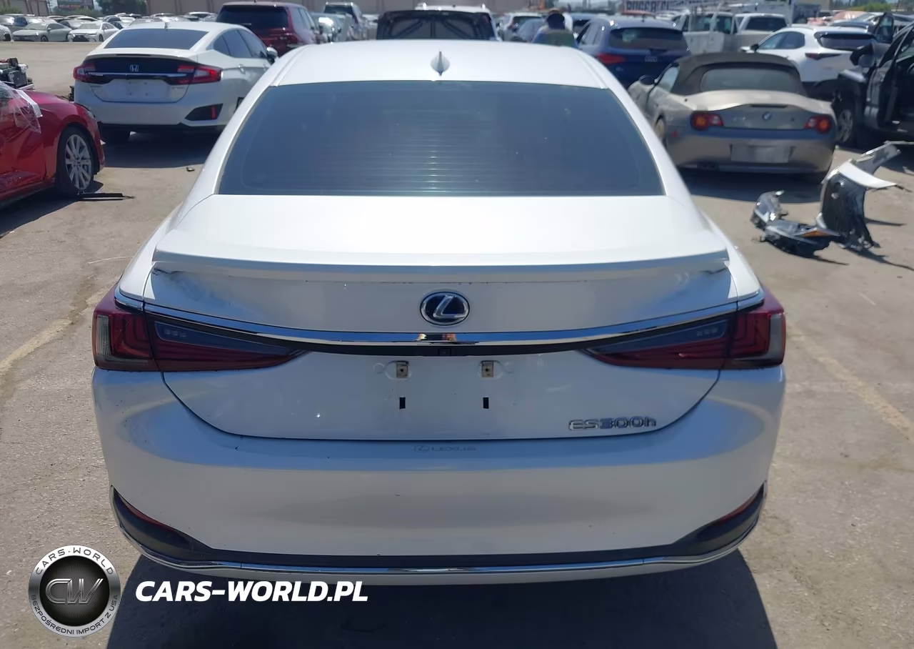 2021 Lexus Es 300H VIN:58ACA1C19MU012073 - 17