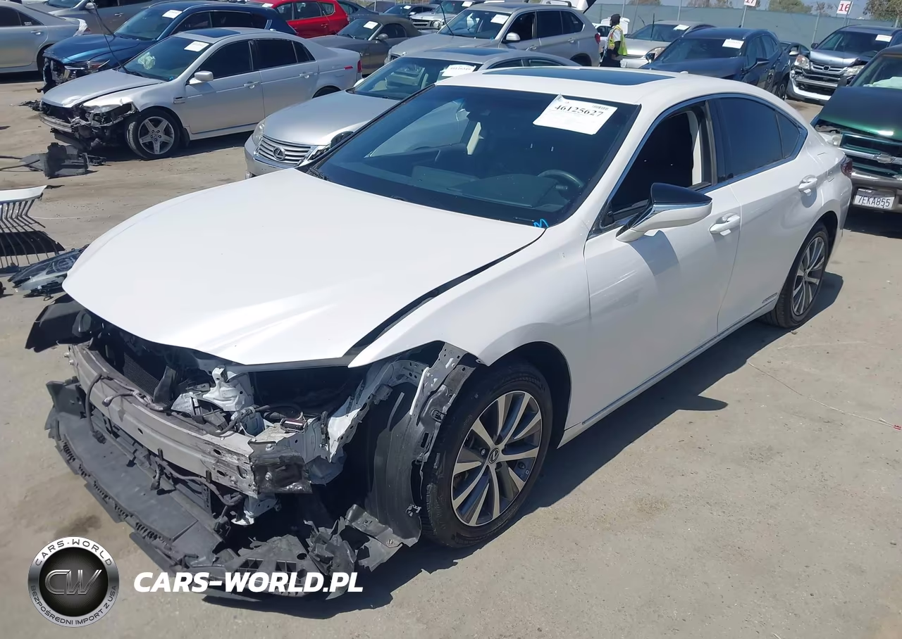 2021 Lexus Es 300H VIN:58ACA1C19MU012073 - 2