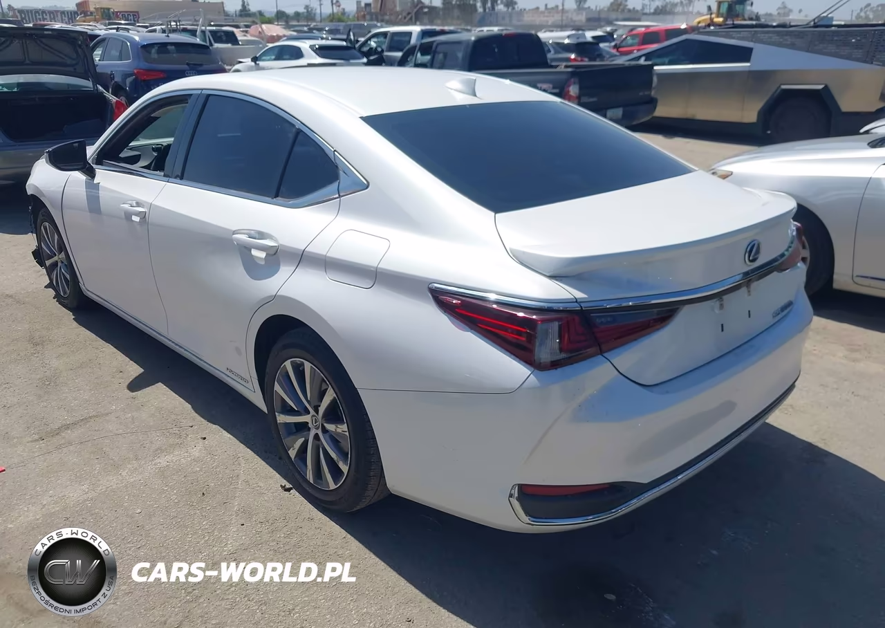 2021 Lexus Es 300H VIN:58ACA1C19MU012073 - 3