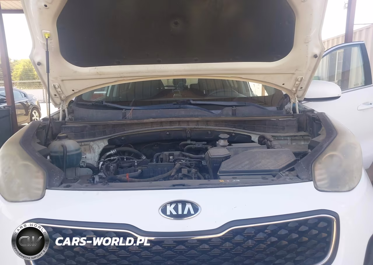 2017 Kia Sportage Lx VIN:KNDPM3AC3H7122965 - 10