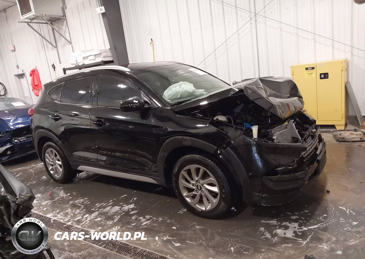 2017 Hyundai Tucson Se VIN:KM8J3CA46HU440903 - 14