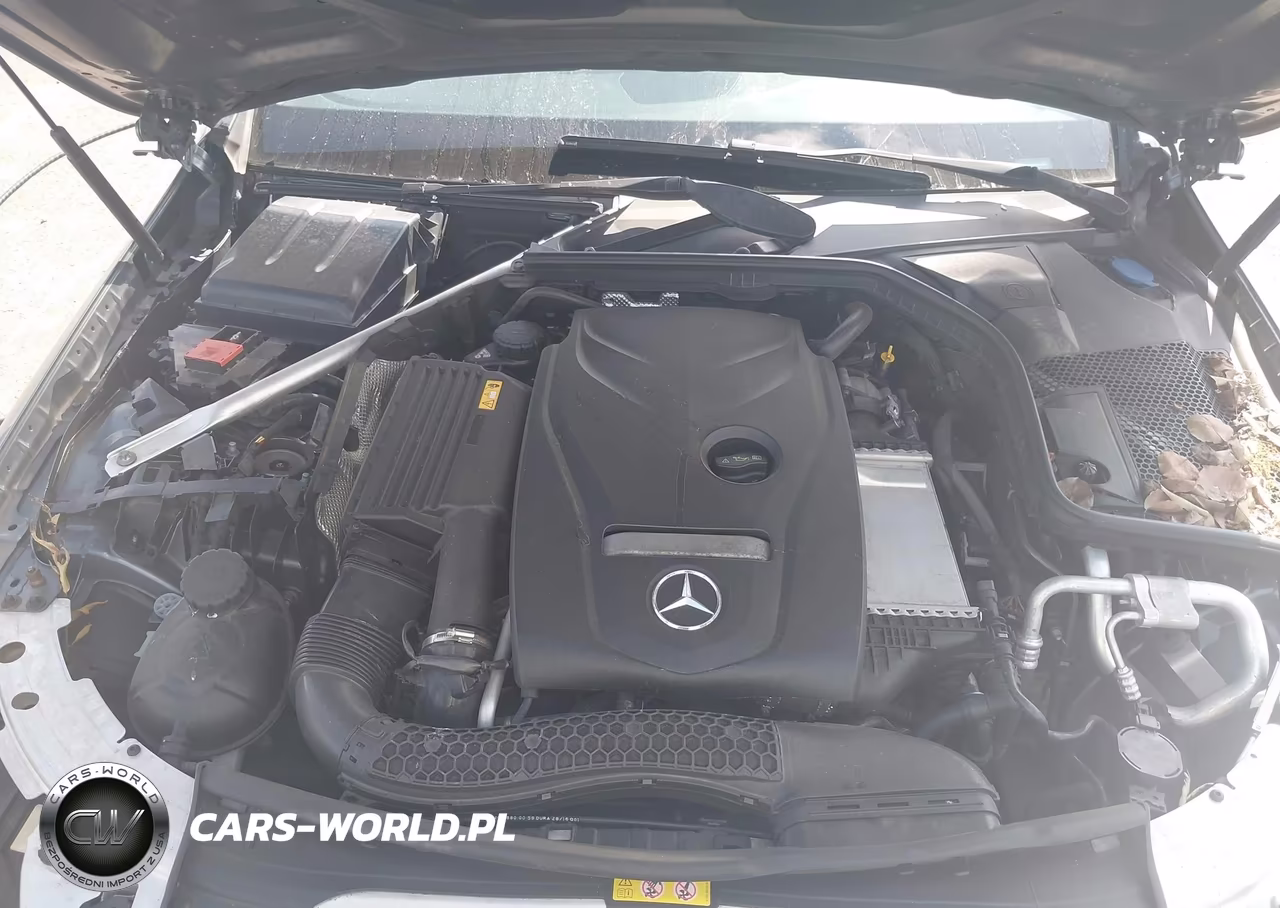 2017 Mercedes-Benz C 300 VIN:WDDWF4JB3HR238132 - 10