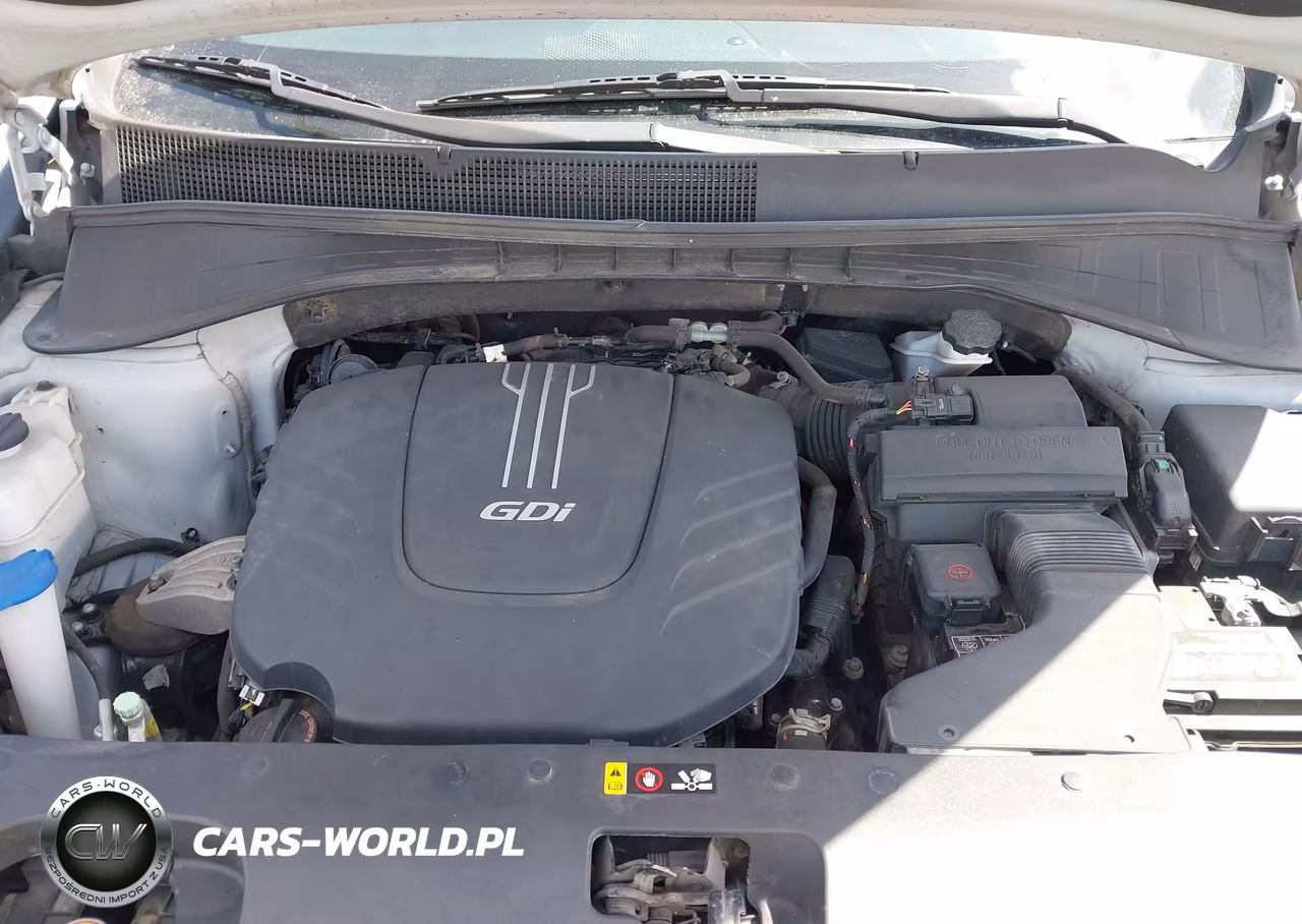 2017 Kia Sorento 3.3L Ex VIN:5XYPHDA5XHG233222 - 10