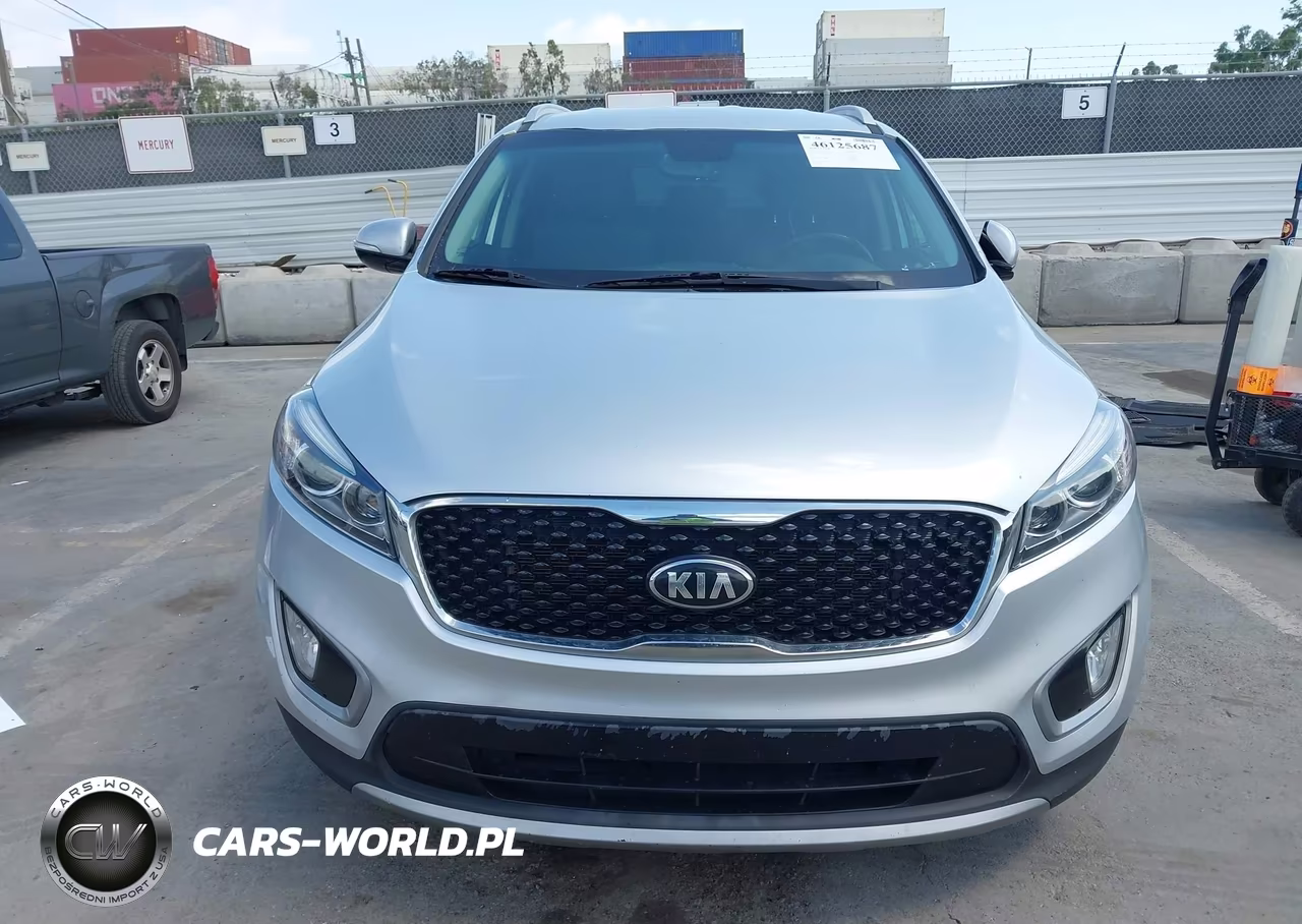 2017 Kia Sorento 3.3L Ex VIN:5XYPHDA5XHG233222 - 12