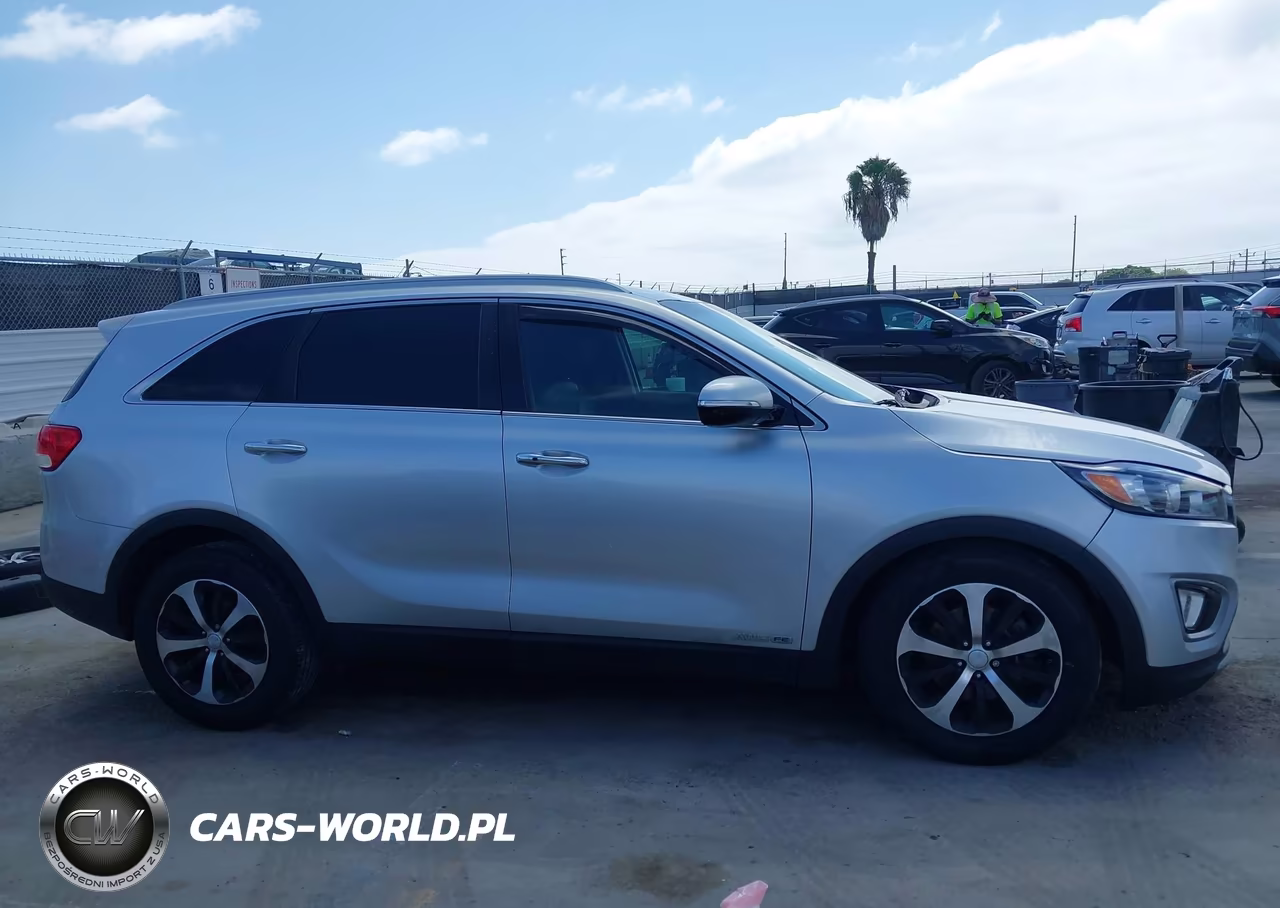 2017 Kia Sorento 3.3L Ex VIN:5XYPHDA5XHG233222 - 13