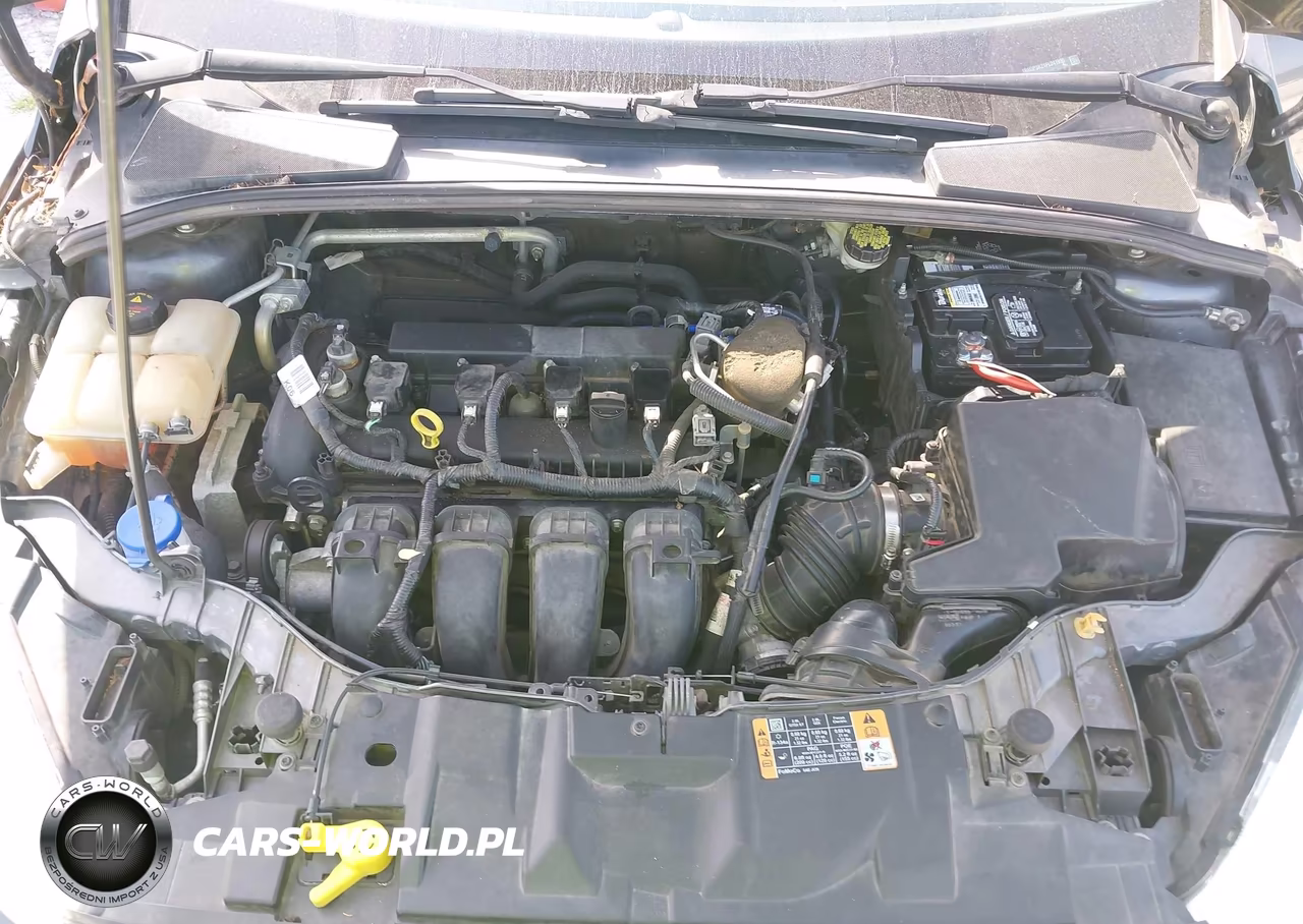 2015 Ford Focus Se VIN:1FADP3K21FL241995 - 10