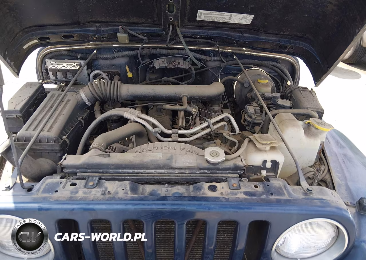 2002 Jeep Wrangler Sport VIN:1J4FA49SX2P759701 - 10