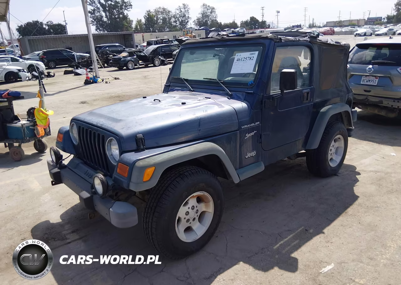 2002 Jeep Wrangler Sport VIN:1J4FA49SX2P759701 - 2