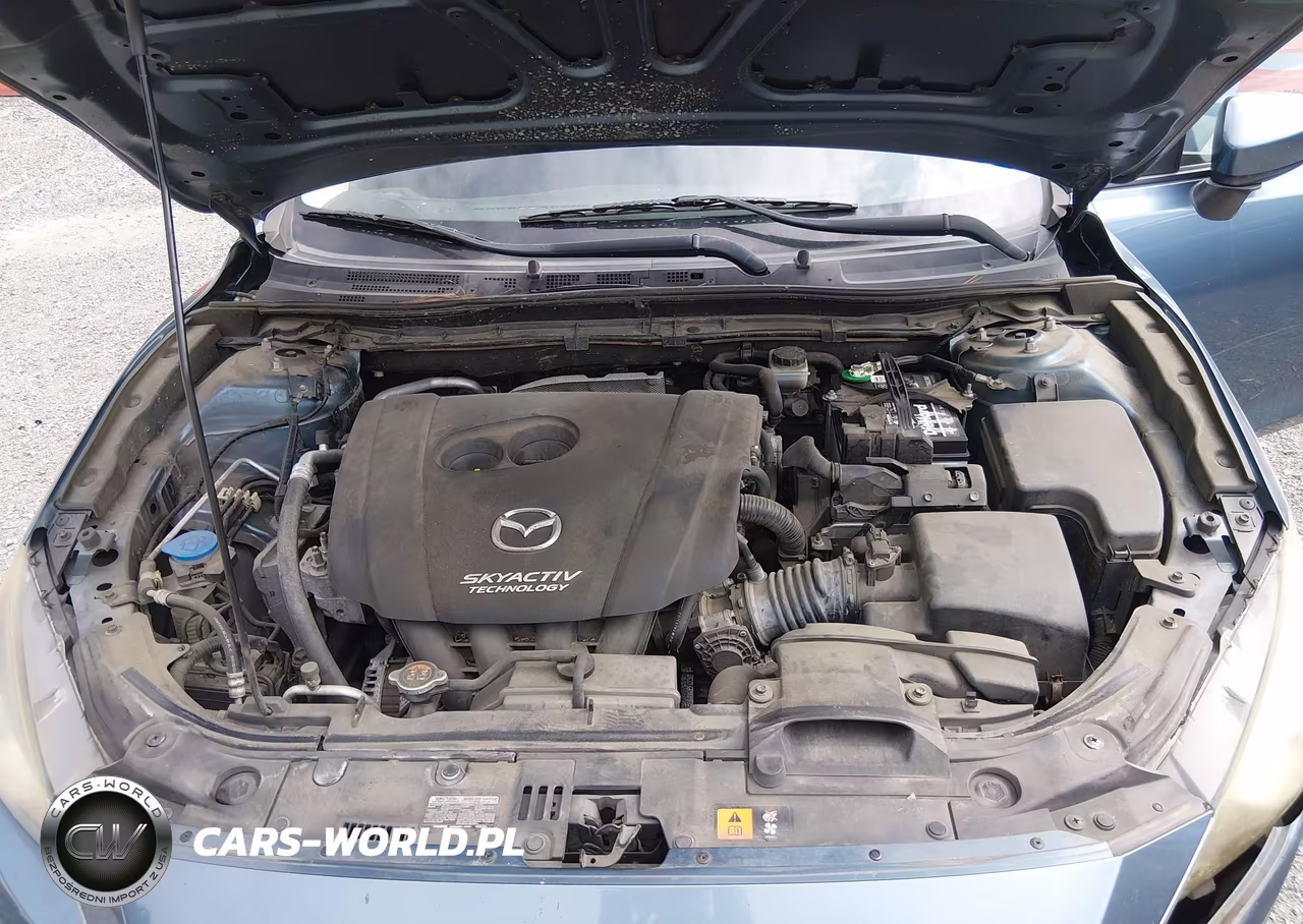 2015 Mazda Mazda3 I Sport VIN:JM1BM1U75F1258589 - 10