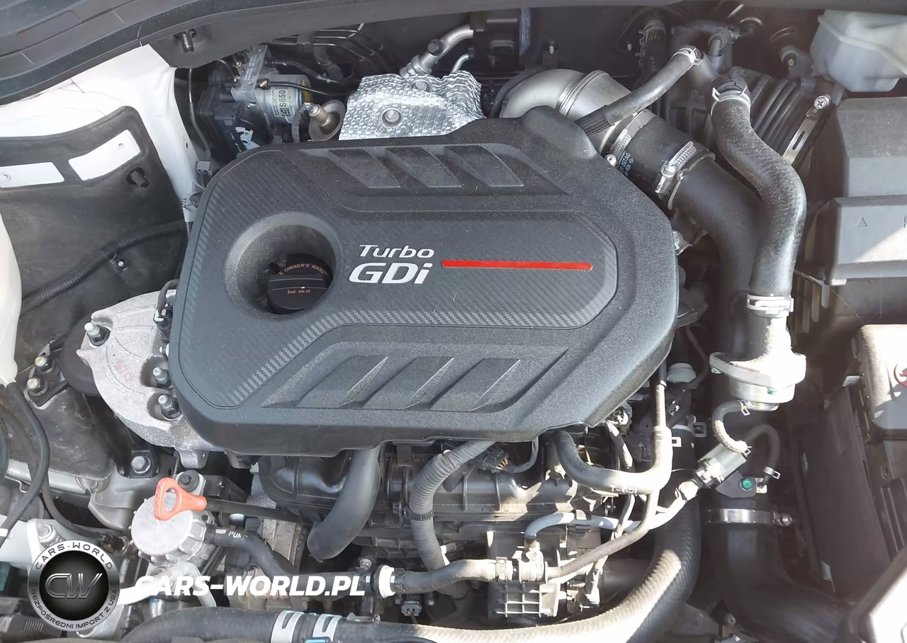 2019 Hyundai Santa Fe Ultimate 2.0T VIN:5NMS5CAA8KH028263 - 10