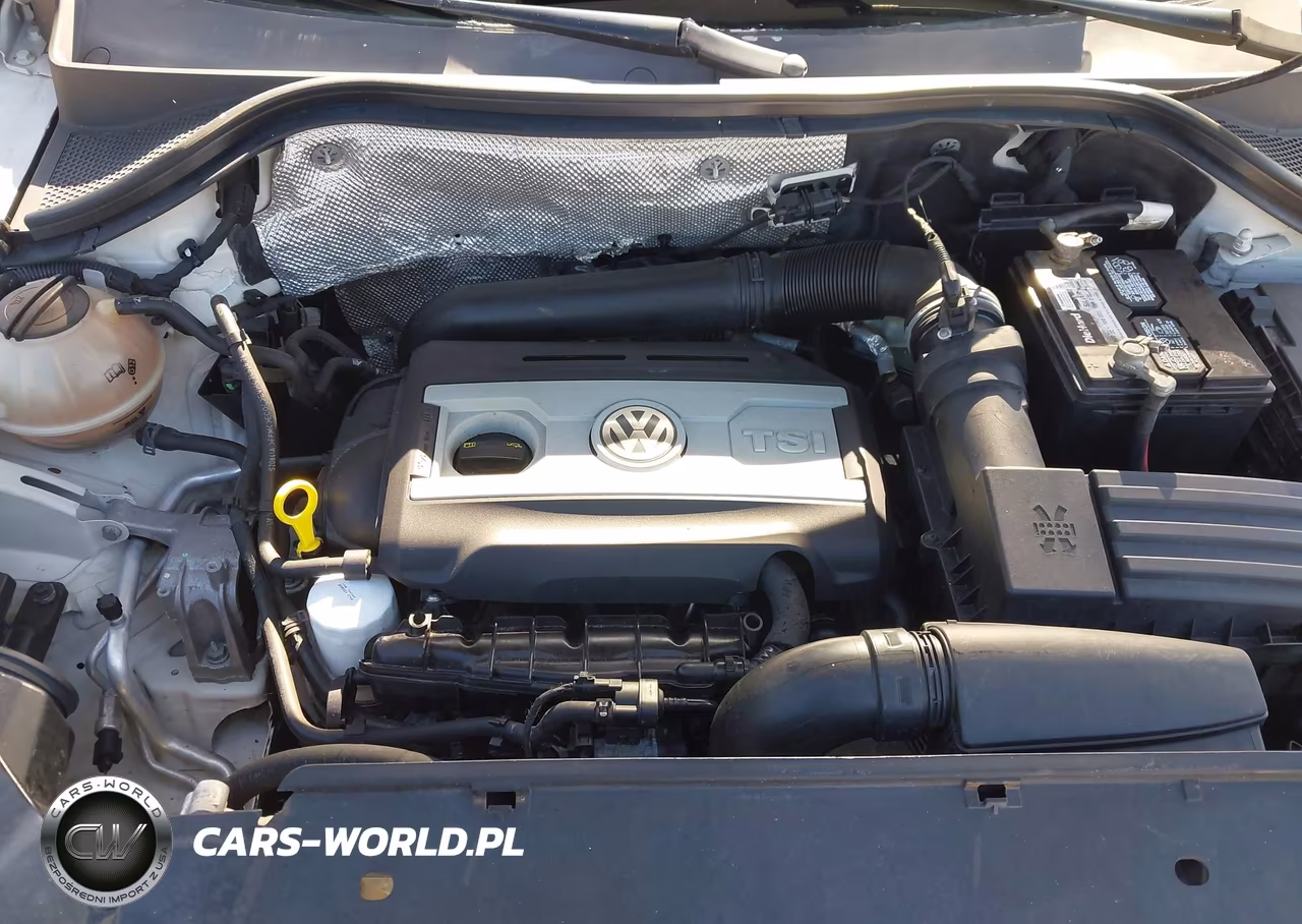 2011 Volkswagen Tiguan Se VIN:WVGAV7AX6BW547313 - 10