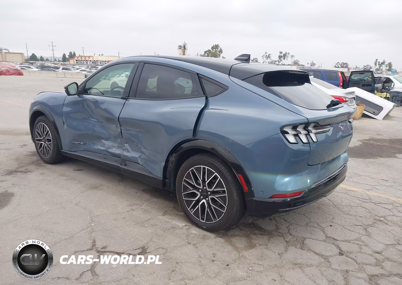 2024 Ford Mustang Mach-E Premium VIN:3FMTK3R72RMA01911 - 3