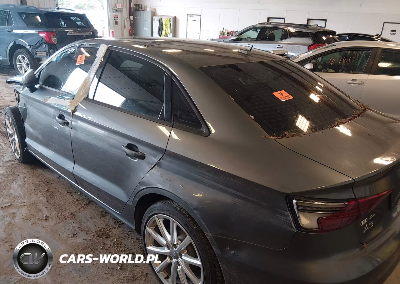 2018 Audi A3 Premium VIN:WAUAUGFF2J1029327 - 3